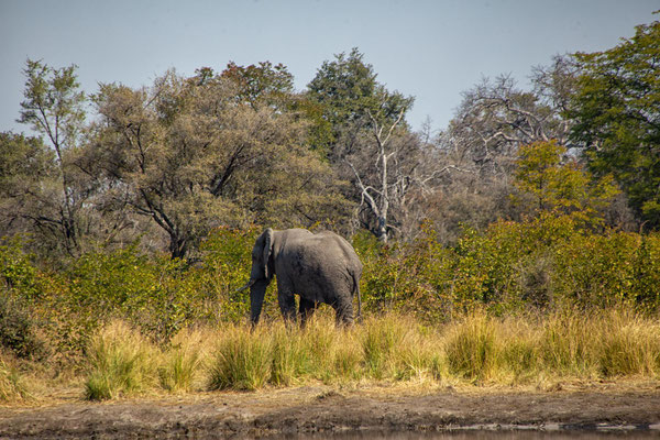 Mudumu NP
