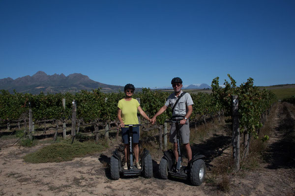 Segway-Tour mit Weinverkostung bei Spier