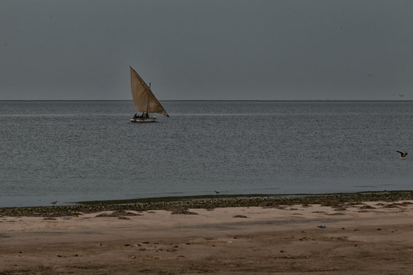 NP Banc d´Arguin
