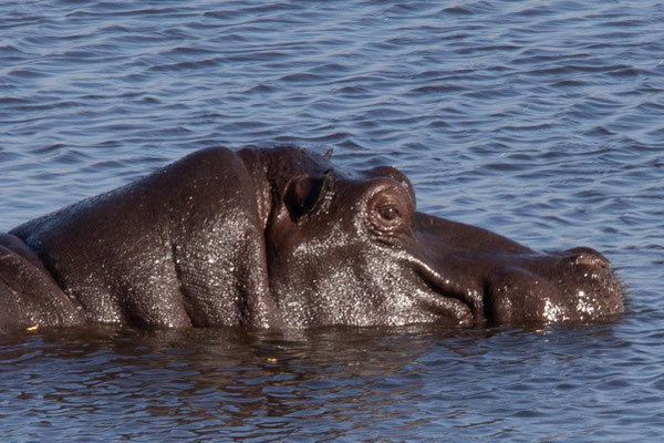 Mudumu NP