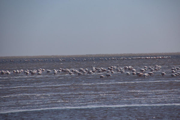Walvis Bay Lagune