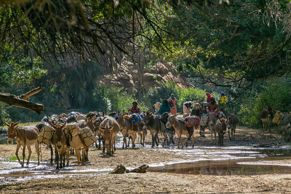 Guelta Bachikele