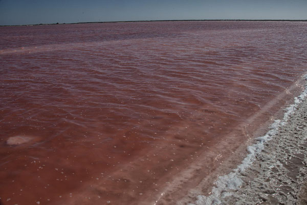 Walvis Bay Lagune