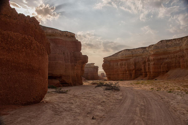 Colinas Canyon