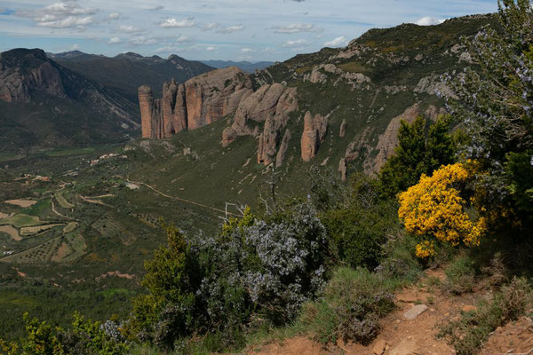 Malos Riglos 