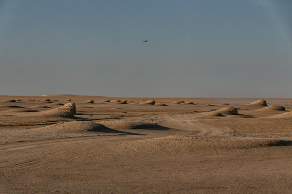 Erosionsformen im Wad