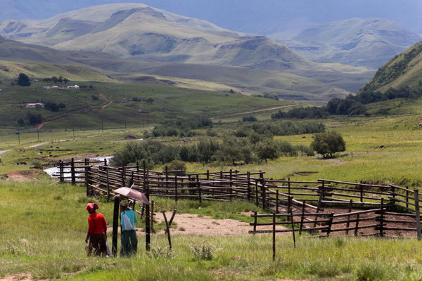 Kwazulu – Natal 