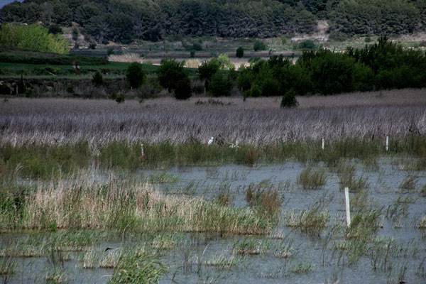 Laguna de dos Reinos