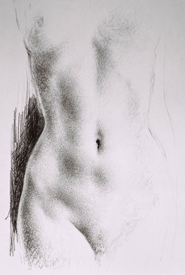 o.T. ca 2003, Bleistiftzeichnung auf Bütten, 99/68 cm