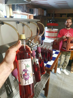 Mise en bouteille, ratafia Culture bio, nature et progrès, frênette - Alavostra