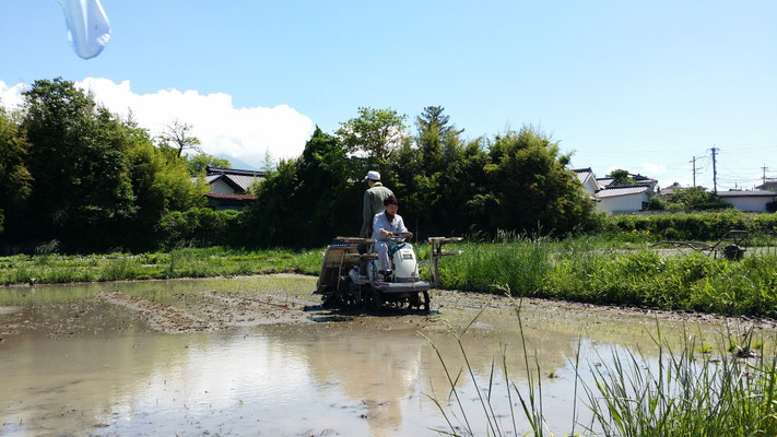 代掻き