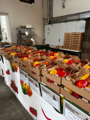  Packstücke pro Jahr 10.500.000
