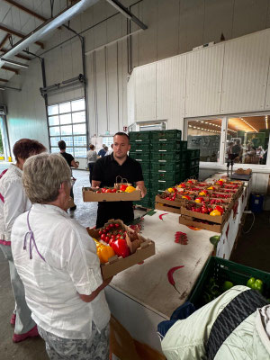 Unsere fertig gepackte Probierkiste