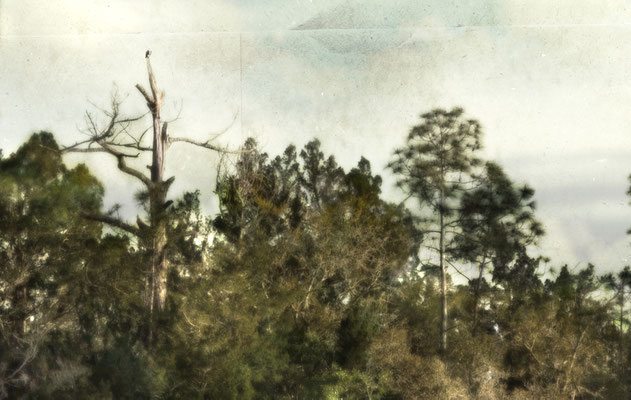 Jacksonville, Florida