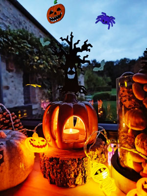 Ambiance halloween en ce moment à la Chambre d'hotes de Cilia proche du parc asterix oise plailly
