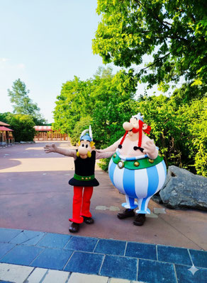 retrouvez le parc asterix a seulement 20 minutes de votre gite