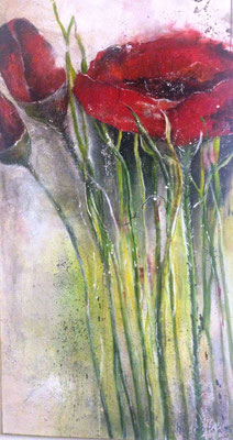 Mohn, 65x126
