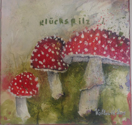 Glückspilz, 40x40