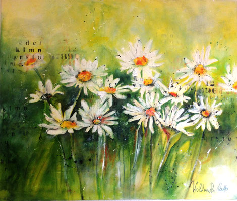 Margeriten, 100x85