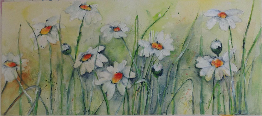 Margeriten 2016, 45x100