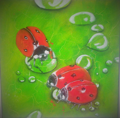 Glückskäfer Tautropfen, 40x40