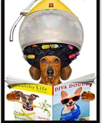Hundesalon Zamperlstyle