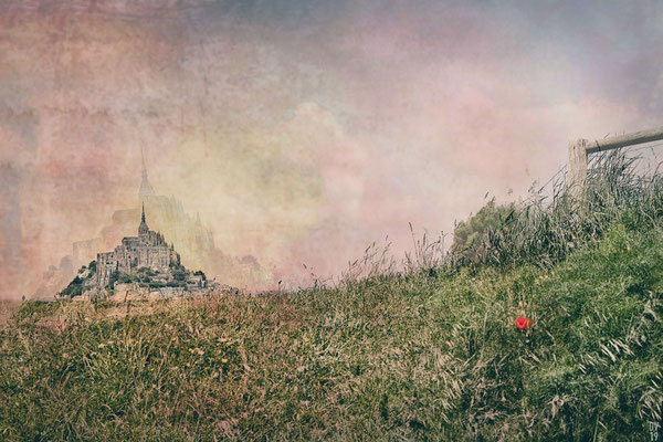 Coquelicot