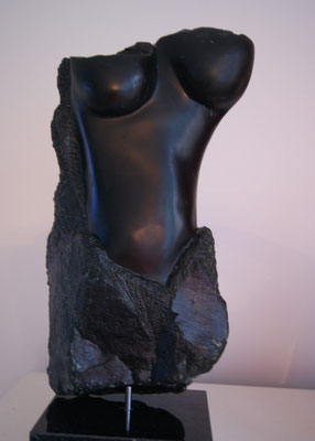 Torso, Serpentijn 2014*