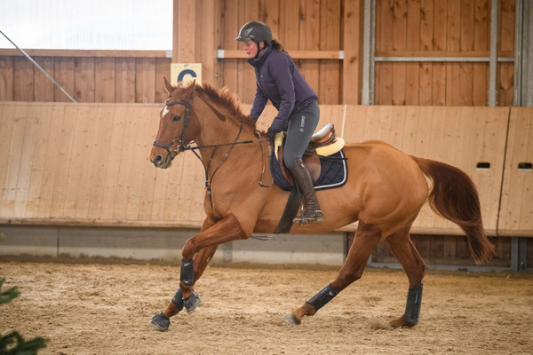 Indoor CC 2019