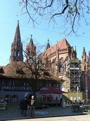 in Freiburg