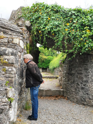 Mellifont Abbey nördlich von Dublin