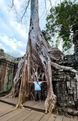 im Urwaldtempel Ta Prohm