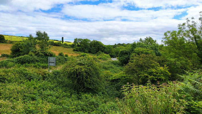 am Waterford Greenway