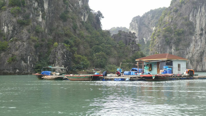 in der Halong-Bucht