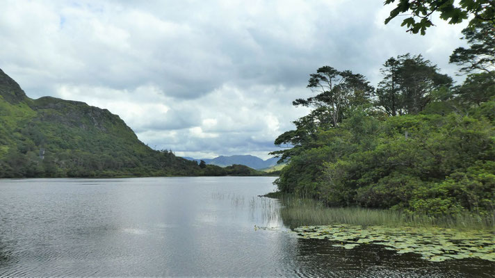 bei Kylemore Abbey der "Pollacapll Lough"-See