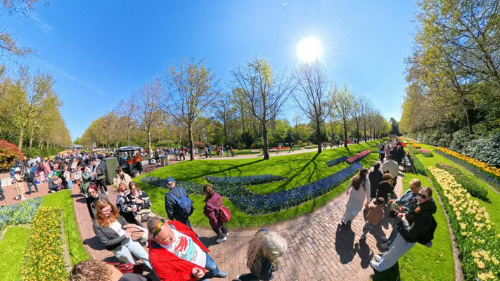 im Keukenhof 2025