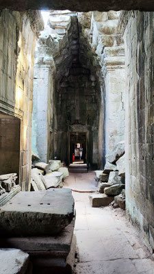 im Urwaldtempel Ta Prohm