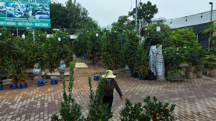 Eindrücke aus Hanoi