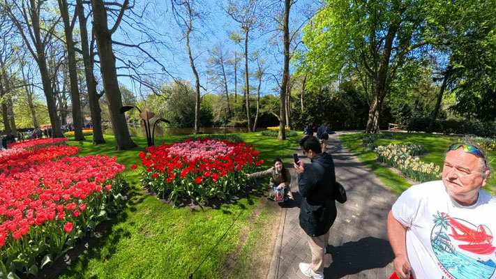 im Keukenhof 2025