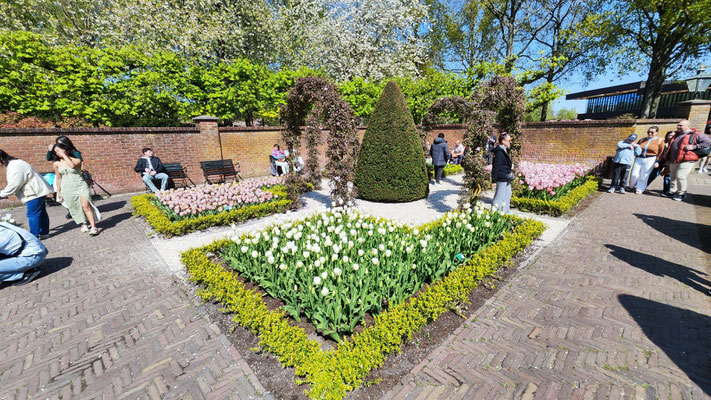 im Keukenhof