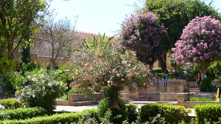 Andalusian Garden