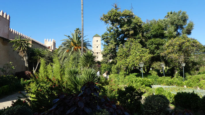 Andalusian Garden