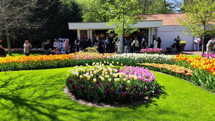 im Keukenhof