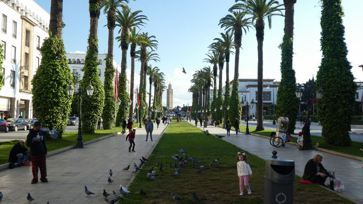 Rabat