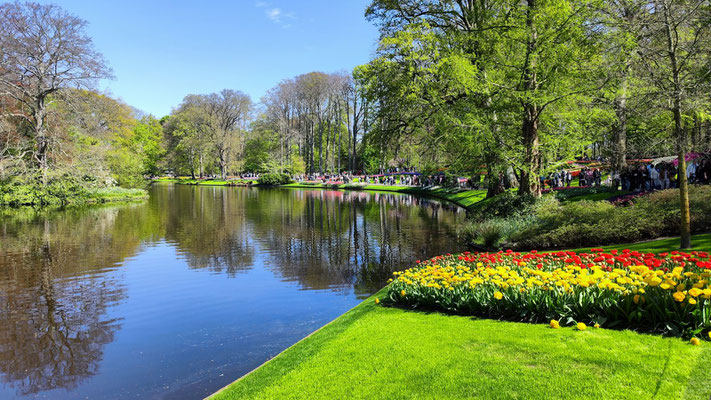 im Keukenhof