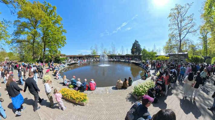 im Keukenhof