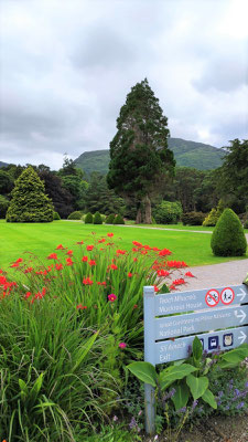 Muckross House - Parkanlage