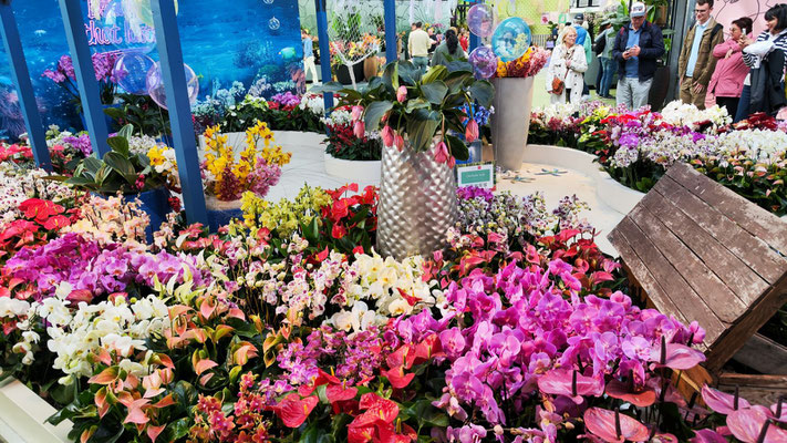 im Keukenhof 2025