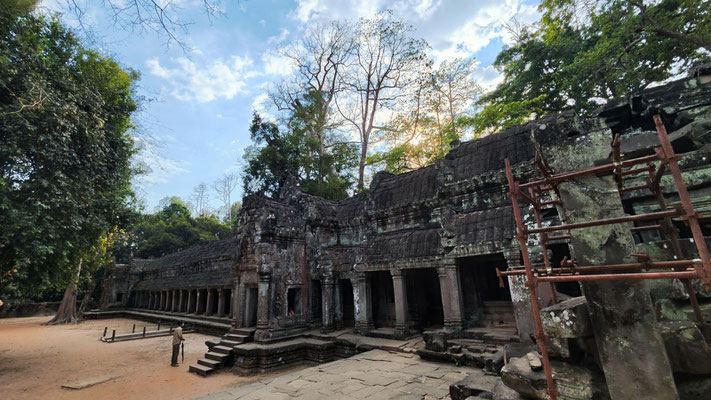 im Urwaldtempel Ta Prohm