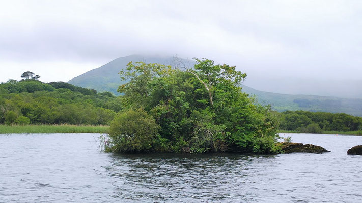 beim Ross Castle